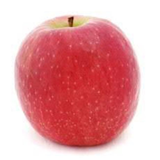 Picture of APPLE PINK LADY 1KG PACK