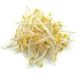 Picture of BEAN SPROUTS BAG 250GM