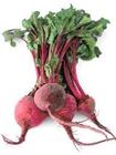 Picture of BEETROOT BABY BUNCH