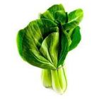 Picture of BOK CHOY 