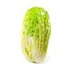 Picture of CABBAGE CHINESE WOMBOK