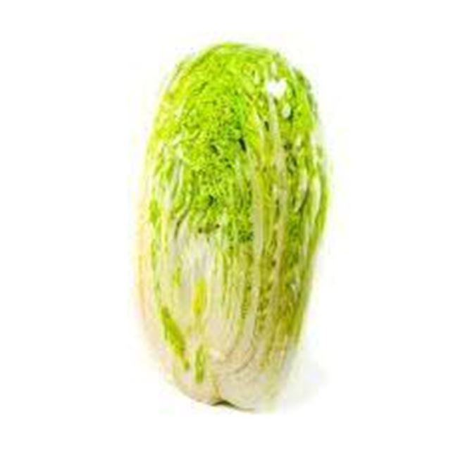 Picture of CABBAGE CHINESE WOMBOK HALF