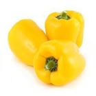 Picture of CAPSICUM YELLOW EACH