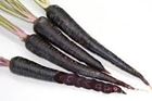 Picture of PURPLE CARROTS 500g