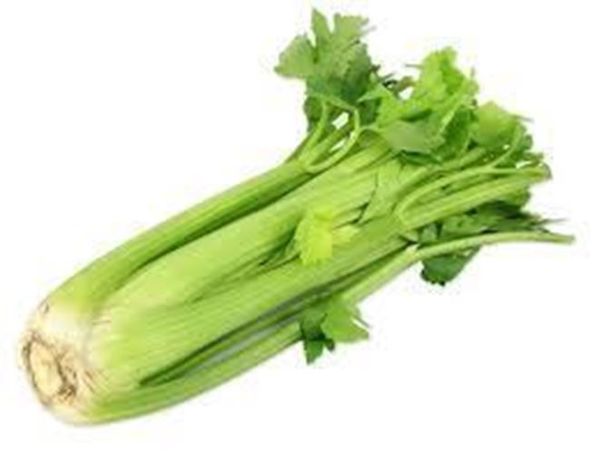 Picture of CELERY BUNCH
