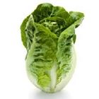 Picture of COS LETTUCE