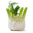 Picture of FENNEL LARGE EACH