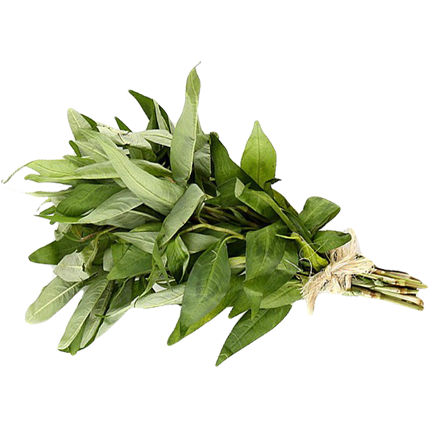 Picture of HERBS VIETNAMESE MINT