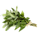 Picture of HERBS VIETNAMESE MINT