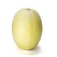 Picture of MELON HONEYDEW WHOLE