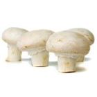 Picture of MUSHROOM BUTTON 250g
