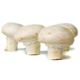 Picture of MUSHROOM BUTTON 250g