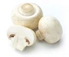 Picture of MUSHROOM CUP 250g
