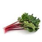 Picture of RHUBARB BUNCH