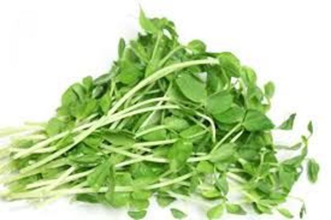 Picture of FLOWERDALE PEASHOOTS 100g