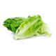 Picture of LETTUCE COS TWIN PACK