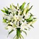 Picture of WHITE ORIENTAL LILLIES