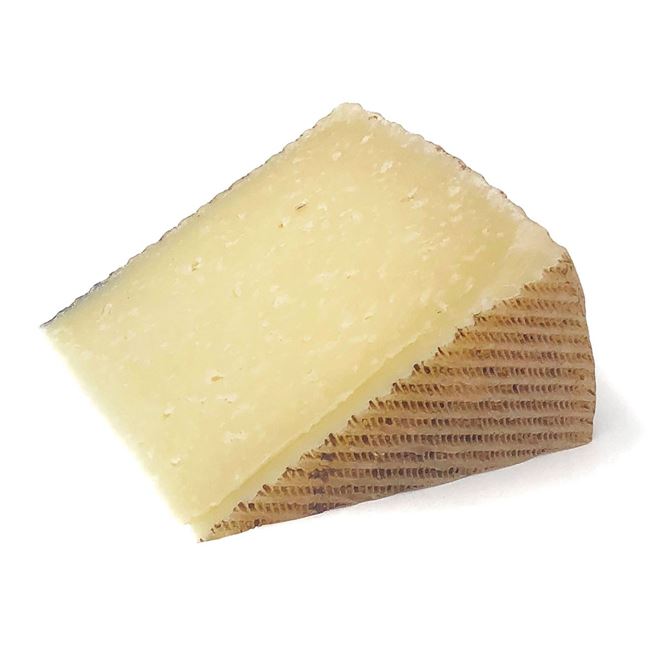Picture of MANCHEGO AGED 3 MONTHS