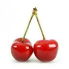 Picture of CHERRIES 500G PUNNET