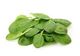 Picture of BABY SPINACH 100GM