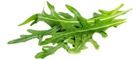 Picture of ROQUETTE 100GM