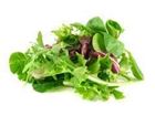 Picture of SALAD MIX LOOSE 100GM