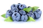 Picture of BERRIES BLUE